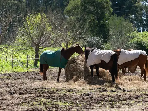 Terreno en Venta en General Las Heras, USD 40.000