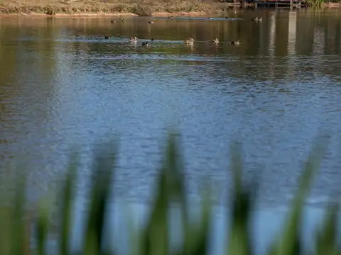 Terreno en Venta en General Las Heras, USD 40.000