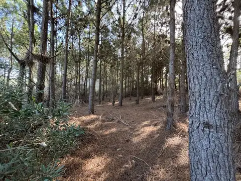 VENTA LOTE COSTA ESMERALDA 200 METROS DEL MAR