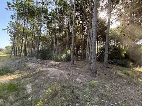 Terreno en Venta de 919,0 m2