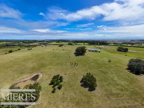 Camino Las Portuguesas