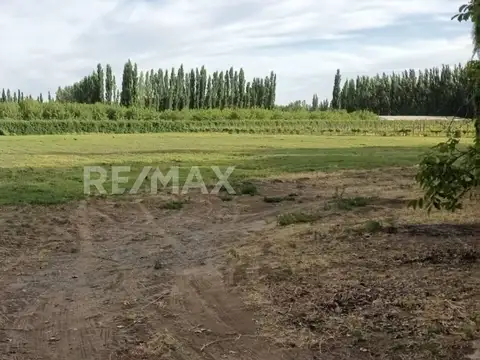 VENTA 3.2 HAS CALLE 9 Y M. CICHEROS - CENTENARIO