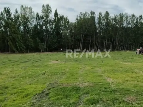 CALLE 9 Y MARIA C. CICHERO