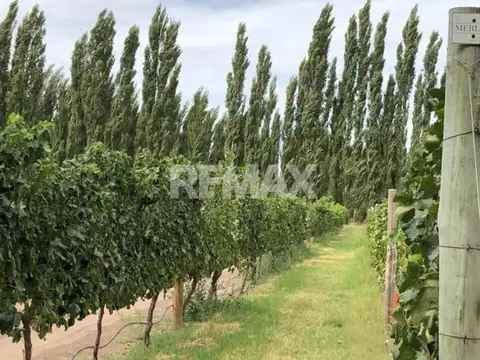 CALLE 9 Y MARIA C. CICHERO