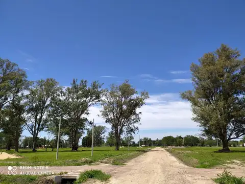 Terreno en Venta de 800,0 m2