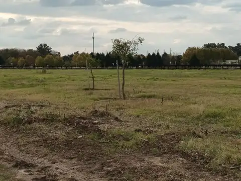 Panamericana km 56,5 ( Estancias del Pilar) La Laguna