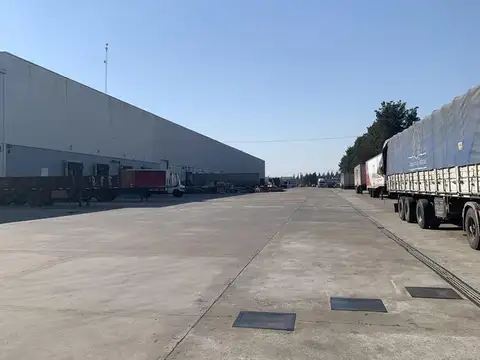 Constituyentes al 4100