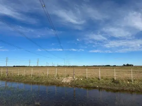 Campo en venta - 480.000Mts2 - Olavarría