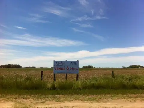 6 ha sobre ruta 205 km 195