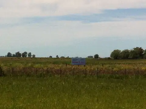 Venta 6 HA sobre Ruta 205 altura KM 195