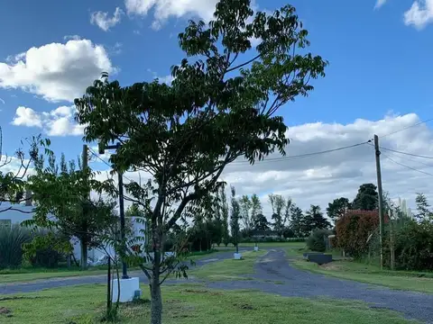 Terreno Lote  en Venta en Arrecifes, Resto de la Provincia, Buenos Aires