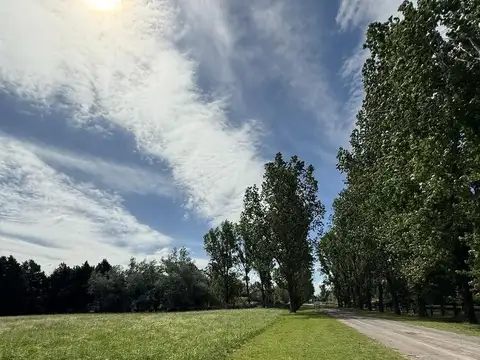 La Colina Golf y Polo