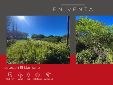 Clemente Caminos 100