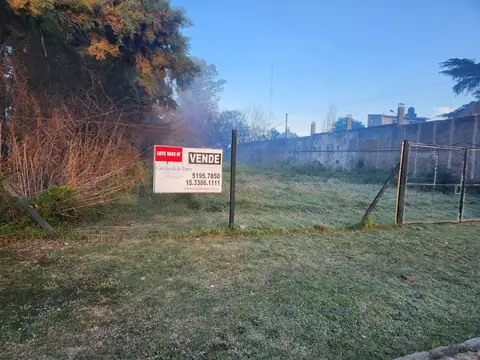 Alejandro Vitale 500