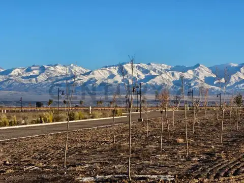 Terreno en Venta en Tupungato, USD 43.000