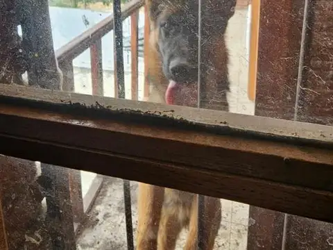 Casa en Venta 36 años