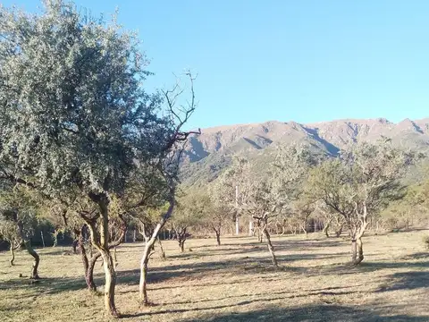 Casa en Venta en Merlo, USD 59.000