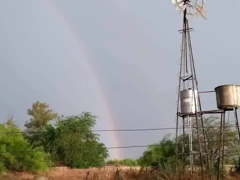Venta de 14 Hectareas - San Vicente
