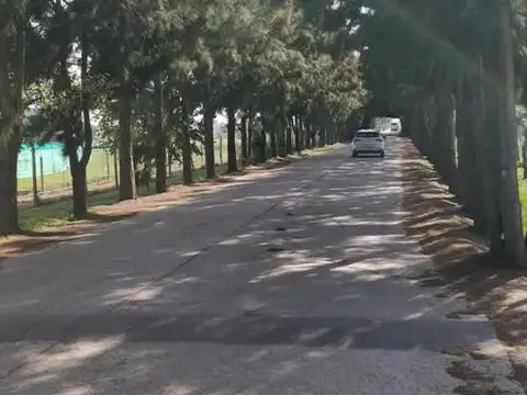 Terreno en Venta de 719,0 m2