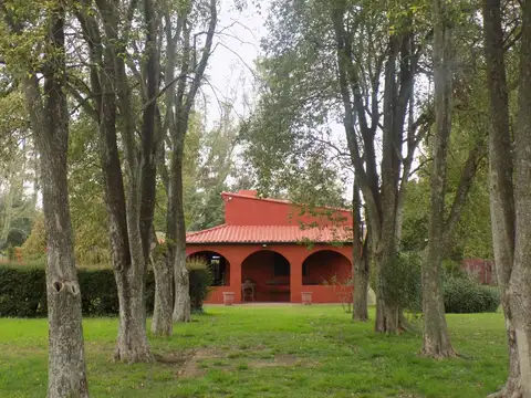 Doctor Luis Pasteur 1300