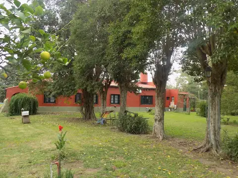 Venta Casa Quinta de Epoca,Jauregui, Lujan, Bs.As.