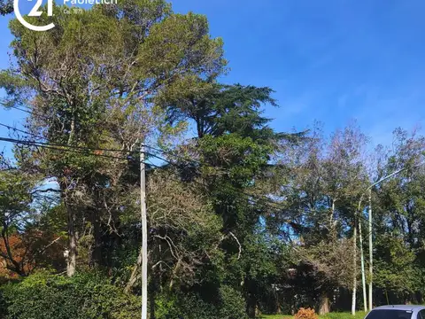 Terreno en Venta en Ranelagh, USD 92.000