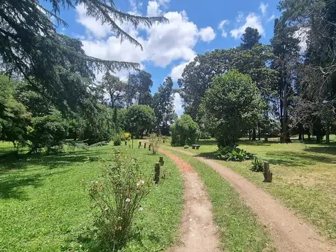 Terreno en Venta 56  mts Frente