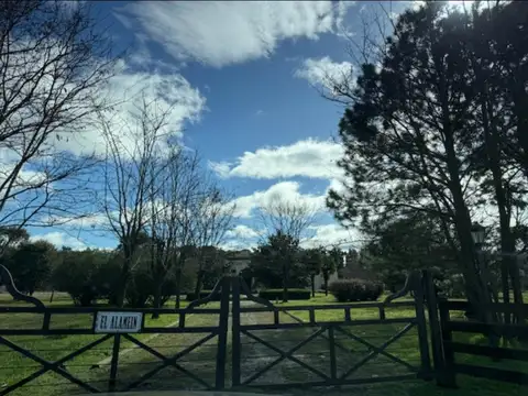 Tenemos 35 opciones en casas y Chacras