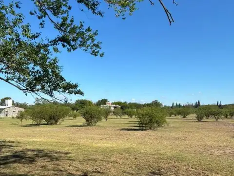 VENTA TERRENO 6009m LA GRANJA LOS MOLLES CORDOBA