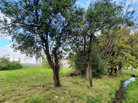 VENTA-LOTES COLONIA CAROYA CALLE 40-ESCRITURAS