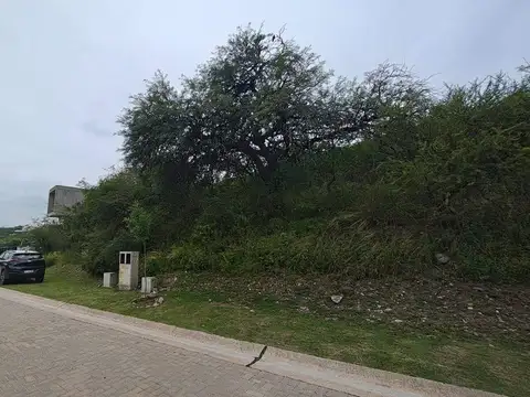 av. Ejercito Argentino 1200