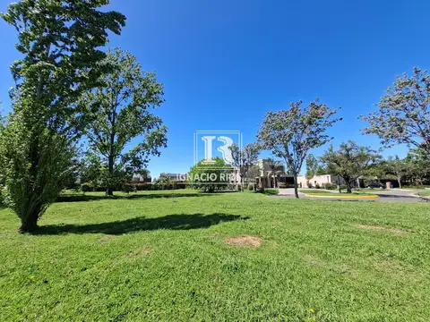 SAN MATIAS Area 2 100