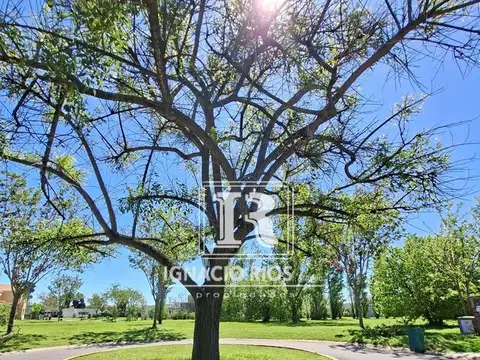 Lote en VENTA de 1013m2, en San Matias - Area 2.