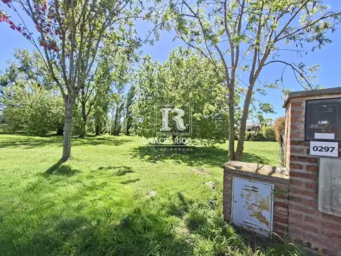 SAN MATIAS Area 2 100