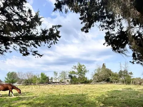 Pancho Ramirez C/ Ruta  42