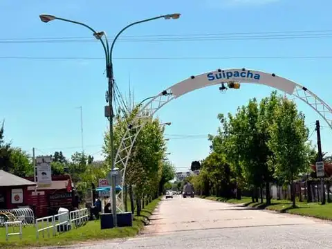 Campo mixto en Suipacha 38 hectáreas en Cuartel X