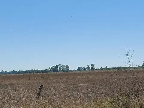 Campo mixto en Suipacha 38 hectáreas en Cuartel X