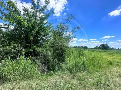 CAMPO 6 HECTAREAS ETCHEGOYEN A METROS RUTA 6