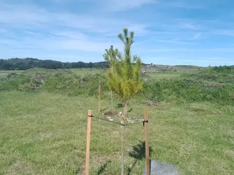 Terreno en Venta en Tandil, USD 28.000