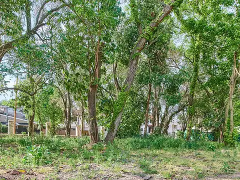 Terreno en Venta en Martinez Libertador / Rio, USD 1.000.000