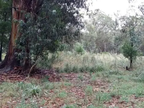 Terreno en Venta en Miramar, USD 8.500