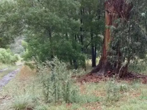 Terreno en Venta de 217,0 m2