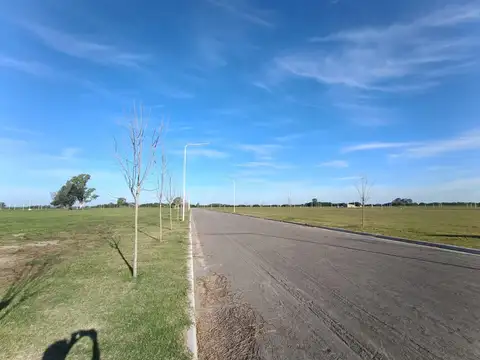 Terreno en Venta 42  mts Fondo