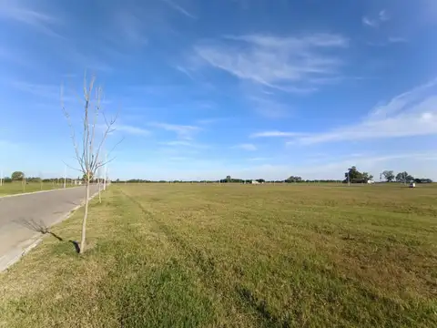 Terreno - Arroyo Seco