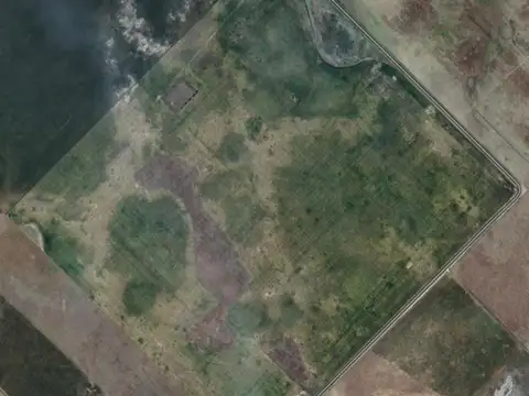 Campo 170 Hectáreas en venta en Oriente