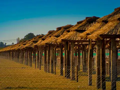 Terreno en Venta de 300,0 m2