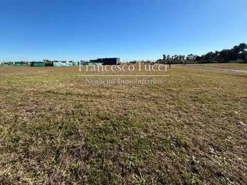 Las Cretonas Lote / N° 0