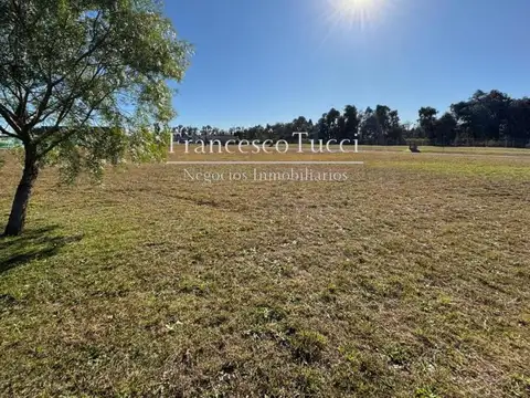 Las Cretonas Lote / N° 0