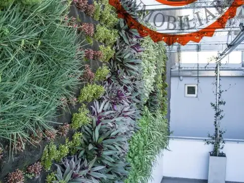 De Dominichi Inmobiliaria Vendemos Departamentos Premium Cam