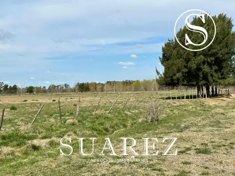 CAMPO DE 1HA EN VENTA, CHACRAS DON LUIS